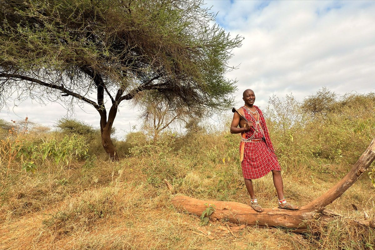 Maasai guide under an acacia tree