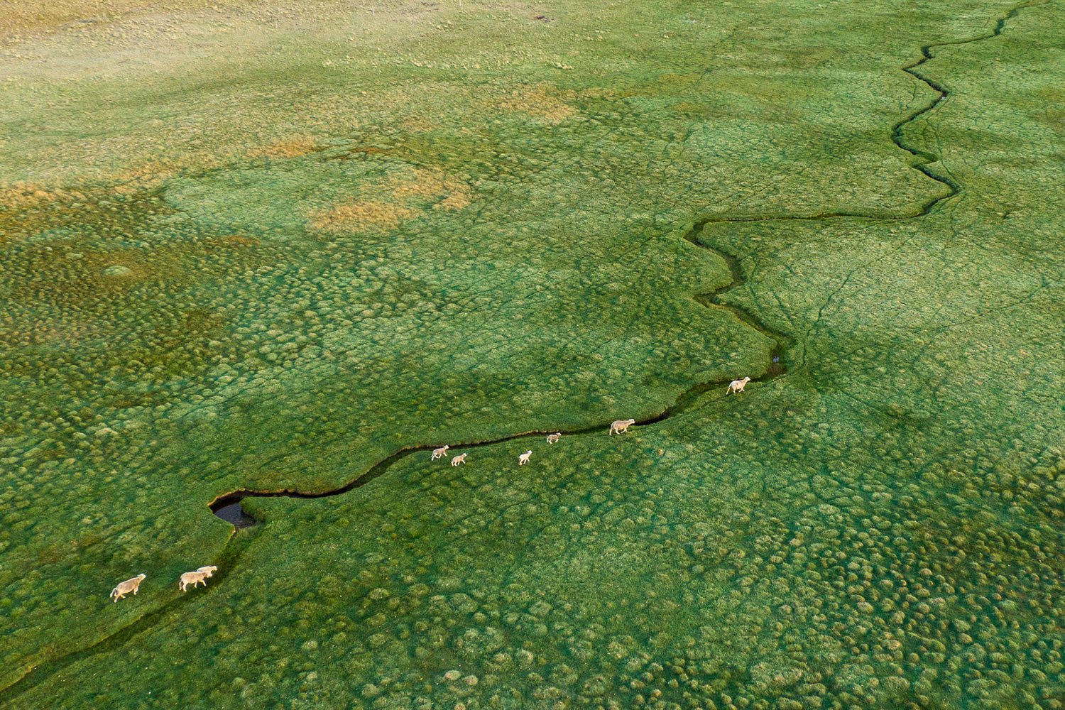 Two, from above
