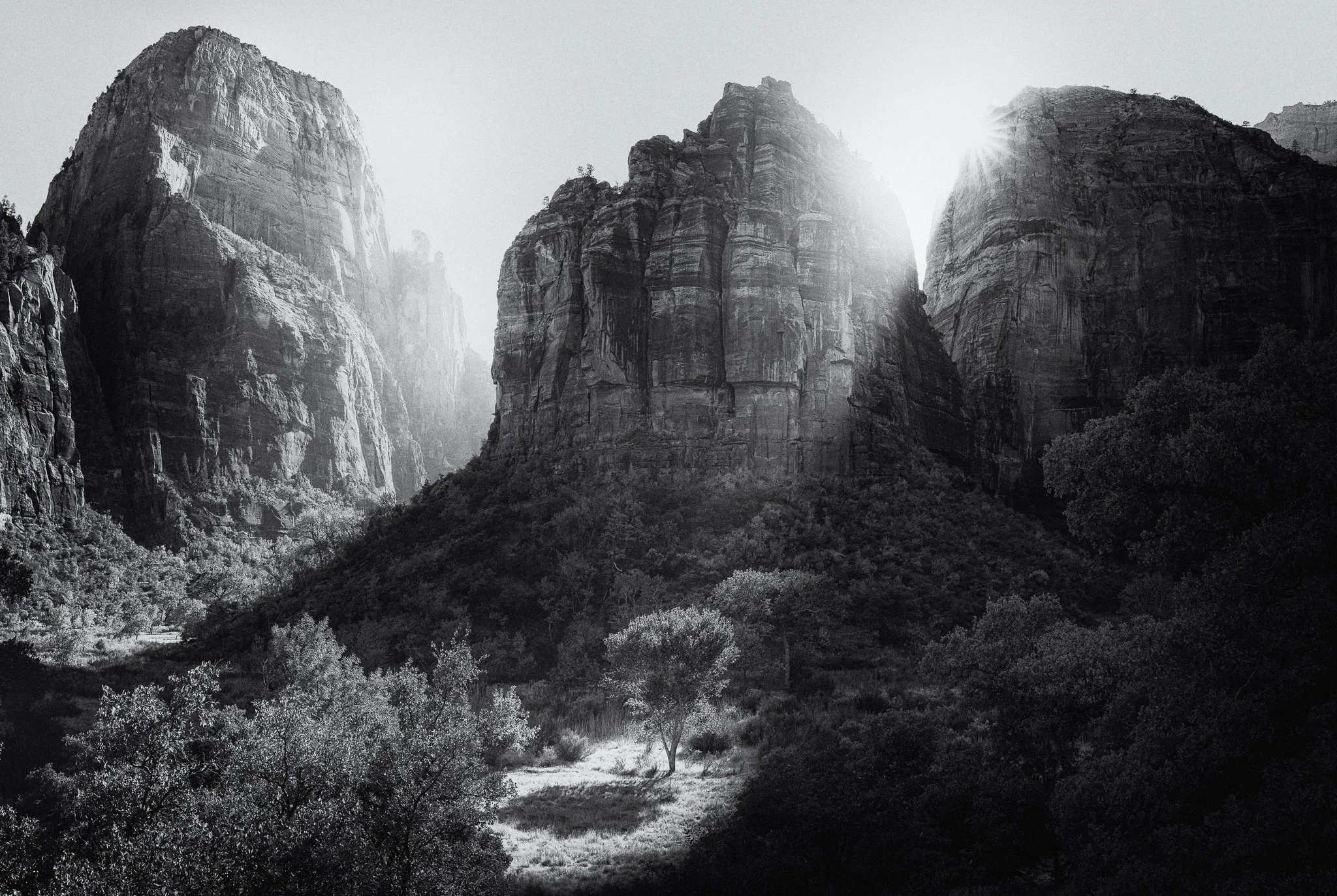The Last Light of Zion