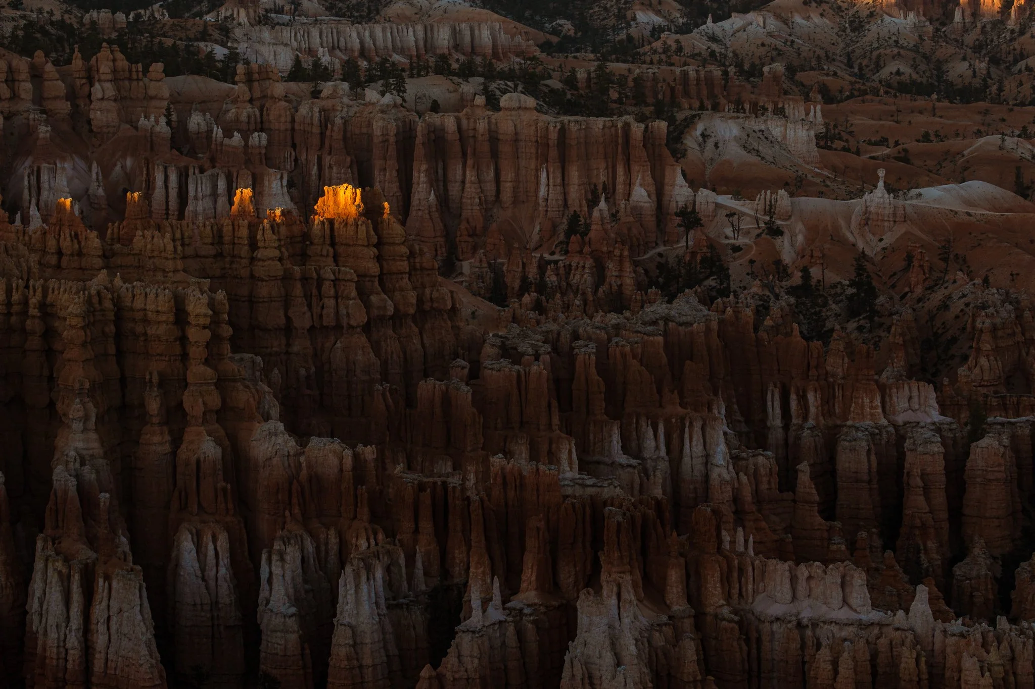 Hoodoos at Bryce
