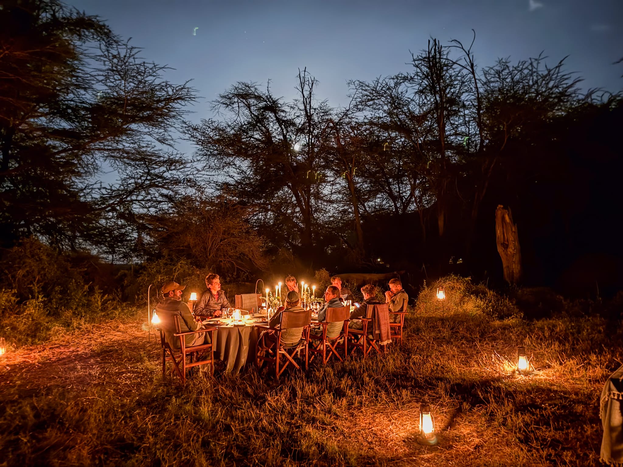 Guests at a lantern-lit dinner under the acacias