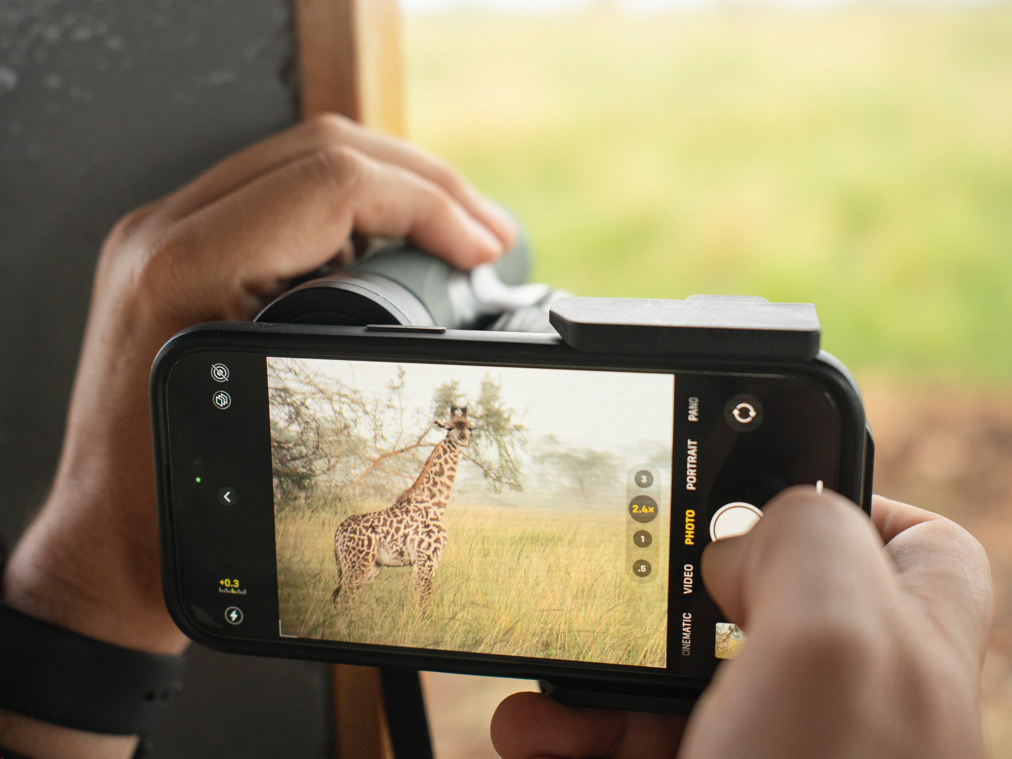 An iPhone on the VPA 2 adapter and a Swarovski scope, framing a giraffe