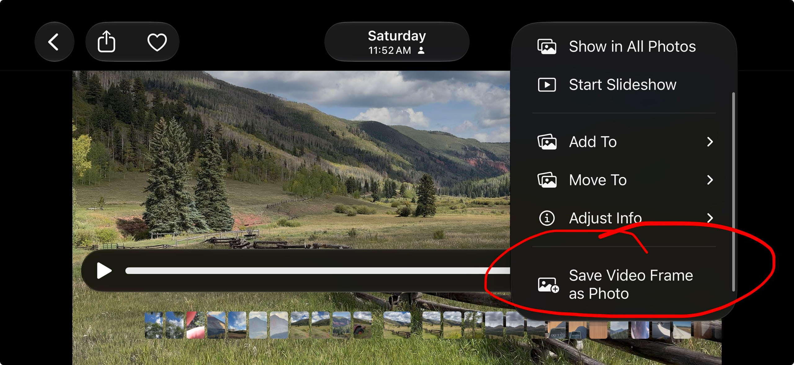 Exporting a frame from the time-lapse
