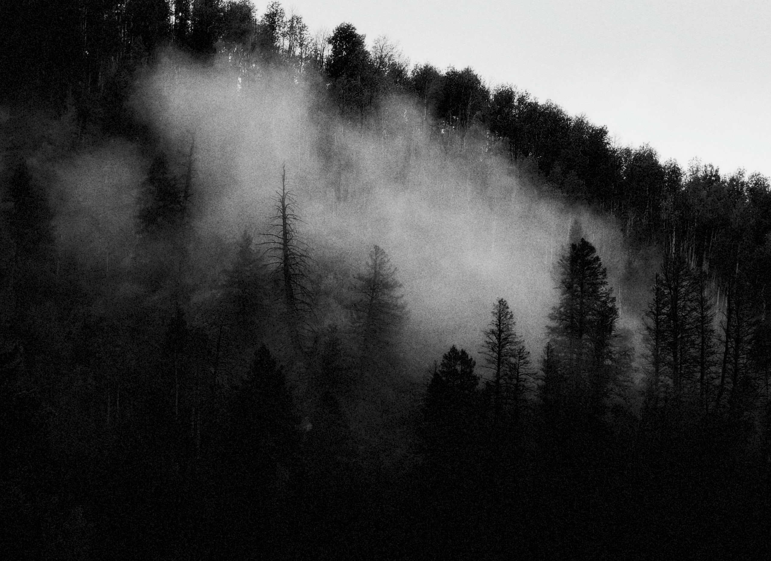 Mountain fog, Dunton, Colorado