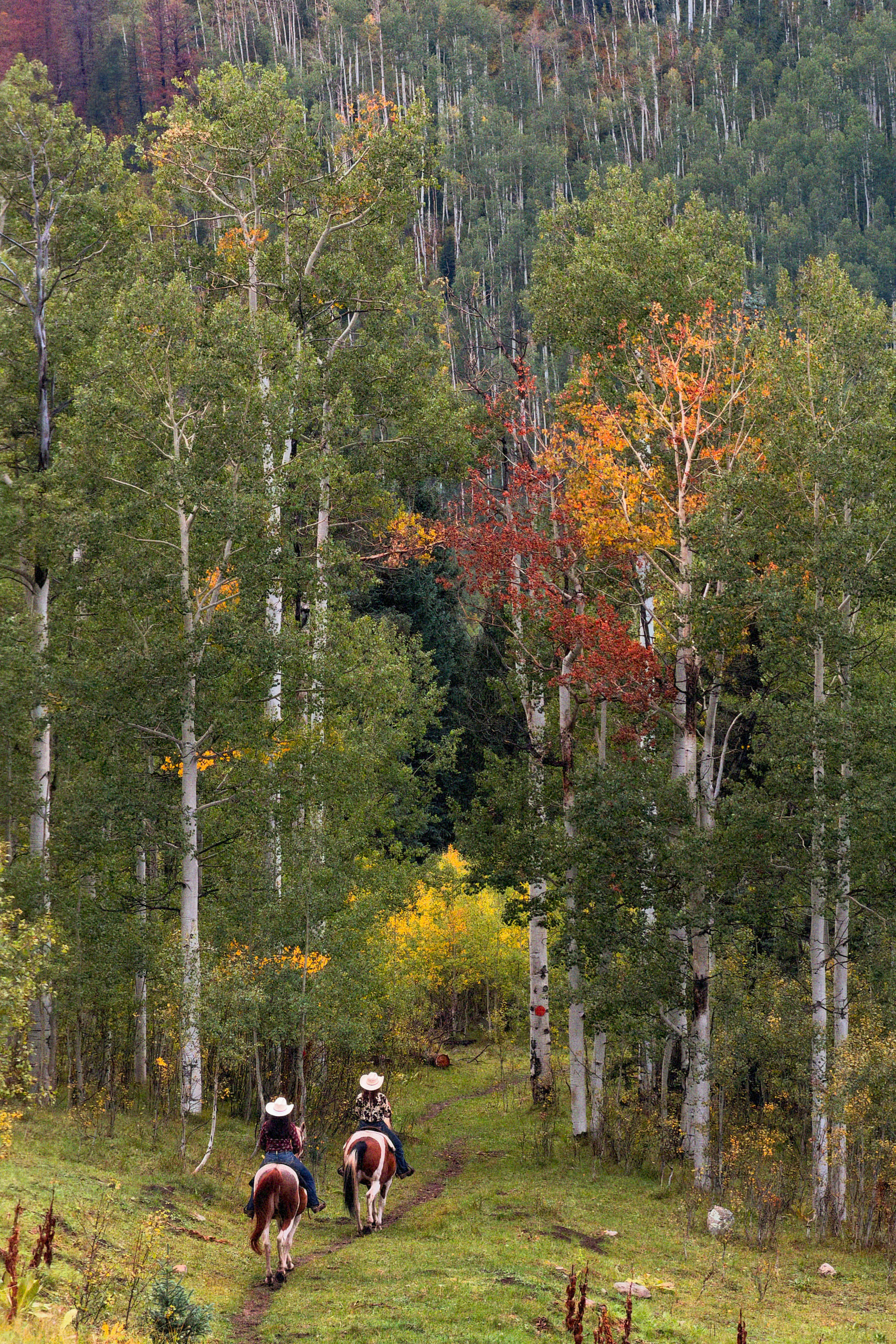 Sophia and Brooklynn trail riding in the high Rockies at Dunton