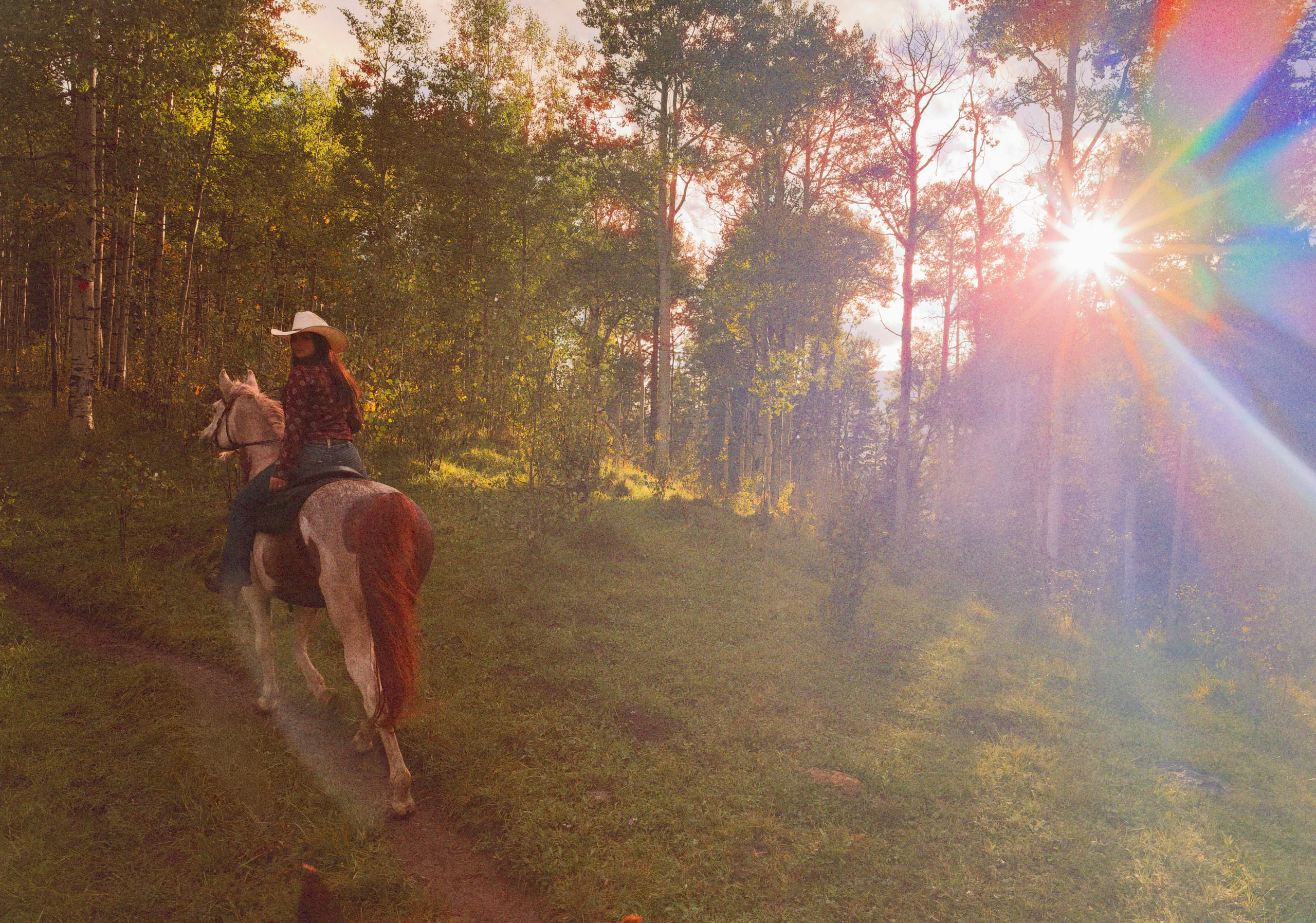 Sophia and Firefly leading the way to the meadow