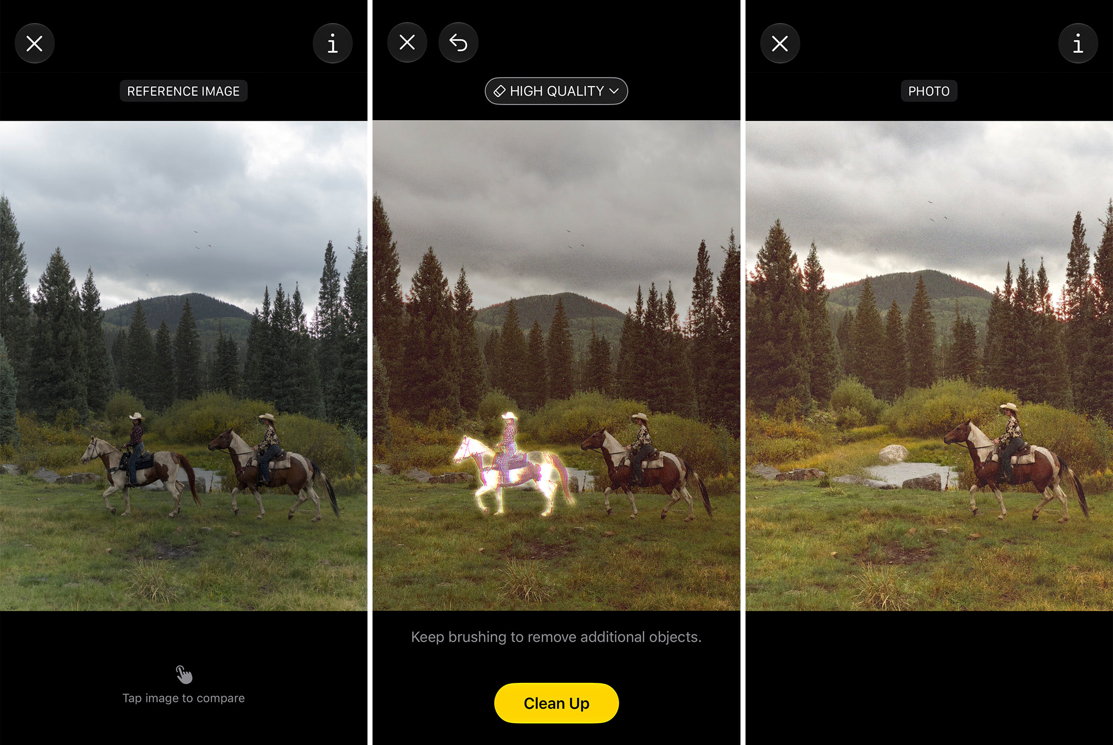 Left: the original, signed Reference Image. Middle: the Clean Up tool used to change the scene. Right: the final, altered image