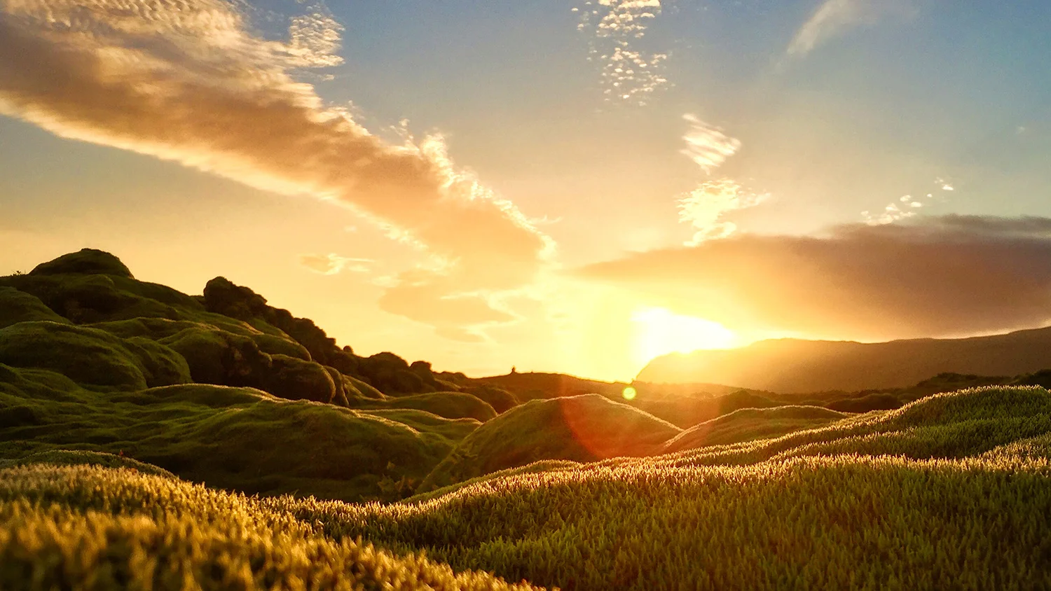 iphone-6-travel-photo-review-mann-header.jpg