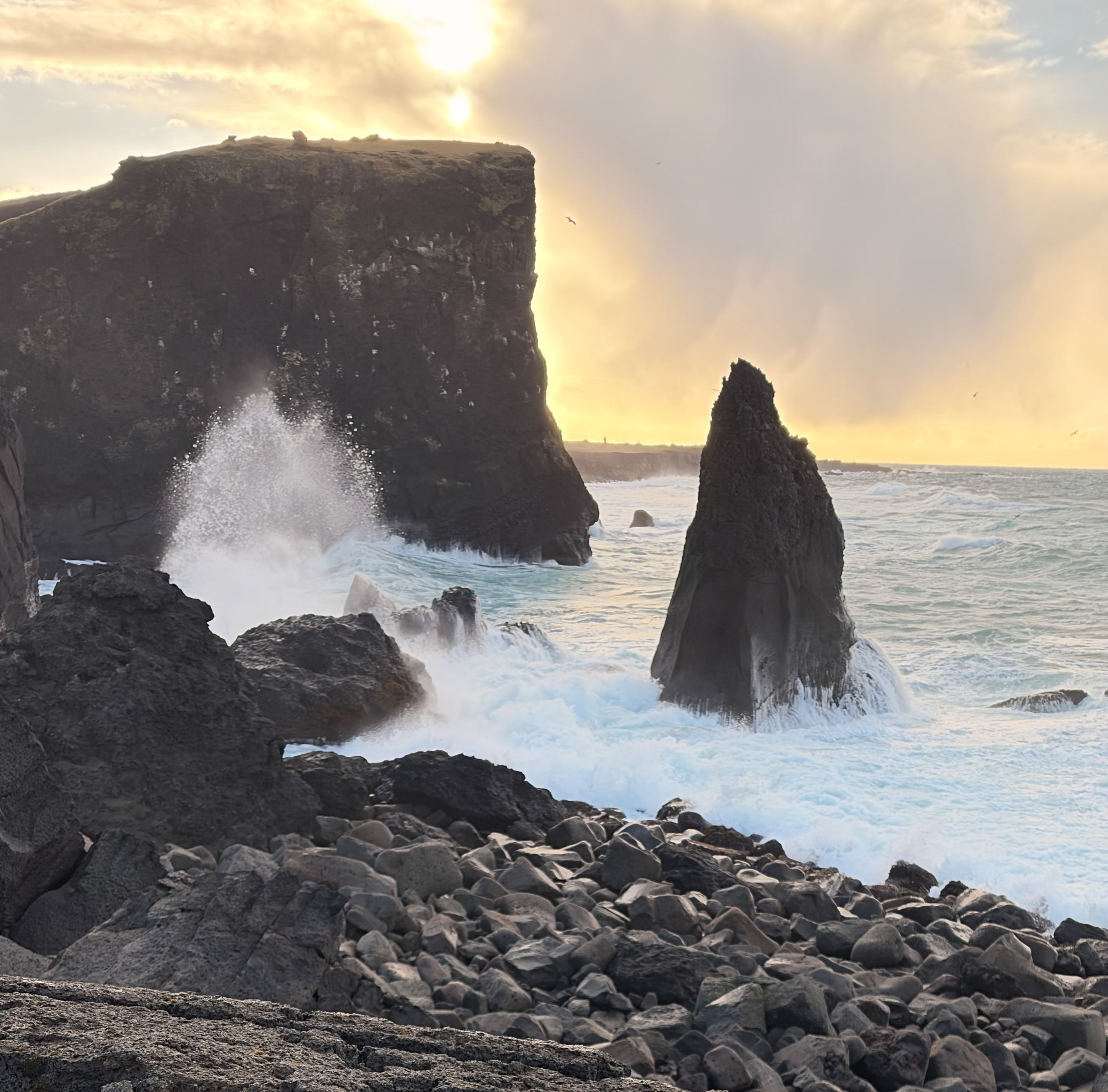 Sea stacks and surf, Iceland